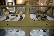 museo di storia naturale bologna 8-2022 3987
